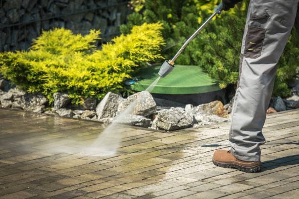 Best Spring Cleaning  in Miller Place, NY